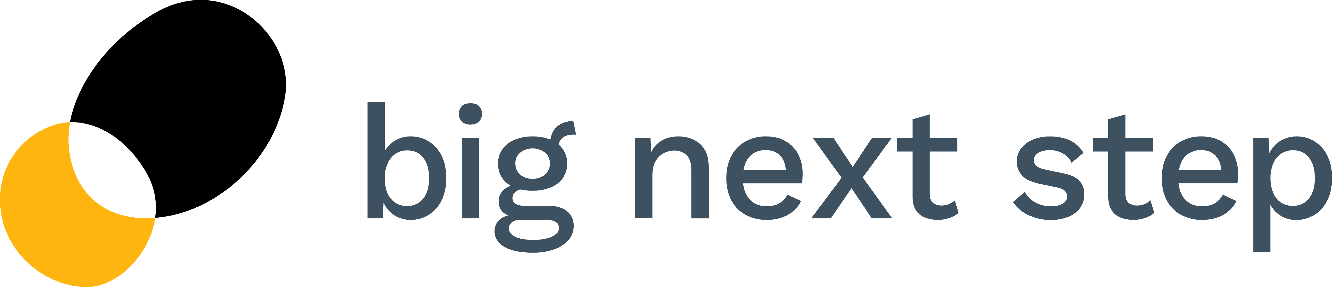 bignextstep-logo